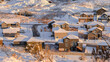 Pano A lot of houses, roofs covered in snow in a valley