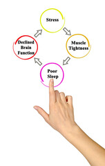 Sticker - From stress to declining brain functions