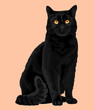 realistic black cat