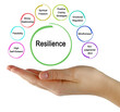 Presenting Eight drivers of Resilience