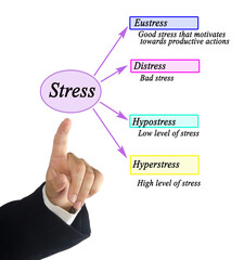 Wall Mural - Presenting four kinds of stress