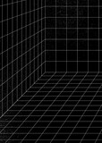 Fototapeta Do przedpokoju - 3D wireframe grid room background vector