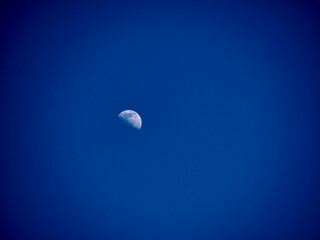 Canvas Print - Moon on a dark blue background