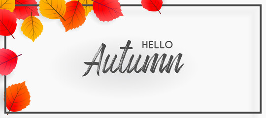 Wall Mural - hello autumn falling leaves. autumnal foliage fall and poplar leaves. autumn design. templates for p