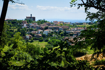 Foto scattata nella campagna attorno a Cuccaro Monferrato.