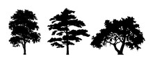 Tree Set. Different Tree Silhouette. Isolated On White Background. Vector Illustration. Forest And Park Elements. Deciduous Trees. Nature Collection. Black Illustration.
