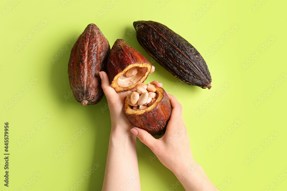 Woman holding fresh cocoa fruit on color background