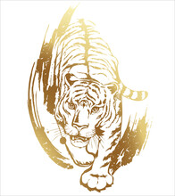 Crouching Tiger Hunting. Gold Outline With Brush Strokes And Grunge Texture On A White Background. The Design Element Is Isolated From The Background.