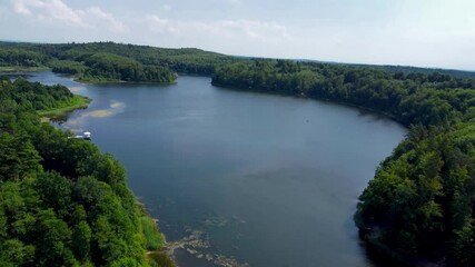 Poster - Aerial landscape view of the Otominskie lake surrounded by trees in Poland at summer.