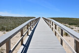 Fototapeta Pomosty - Long Walk Way Over Beach Dunes on the Cape