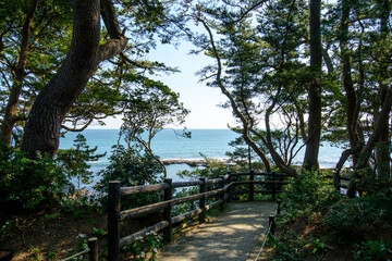 Wall Mural - 海沿いの遊歩道