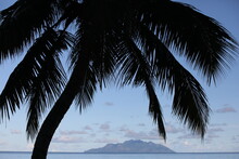 Tropical Seascape With A View Of Palm Trees On The Beach And Islands In The Sea.Background