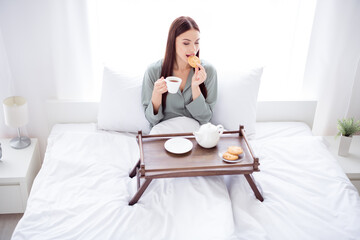 Sticker - Photo of pretty cute young lady grey sleepwear lying bed drinking morning coffee eating biscuit smiling indoors room home house