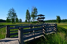 A Close Up On A Wooden Bridge Made Out Of Planks, Logs, And Boards Leading To A Tall Observation Tower Located In The Middle Of A Forest Or Moor Next To Some Fields And Pasturelands In Poland
