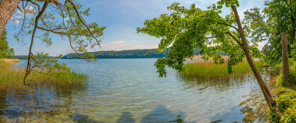 Naturparadies Werbellinsee Taucheinstieg 