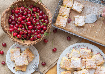 Wall Mural - Sour cherry sponge cake slices baked in traditional Hungarian way