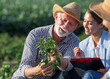 © Budimir Jevtic - Elderly farmer and young insurance sales rep in vegetable field looking at pepper plant.