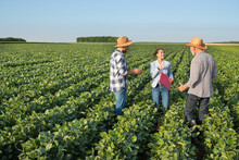 Female Insurance Sales Rep And Two Farmers Standing In Soy Field Talking