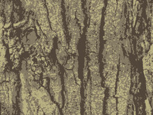 Oak Tree Camouflage. Heavy Posterize And Crystallize Effect. Olive Green And Brown. Seamless Pattern. Useable For Hunting And Military Purposes.