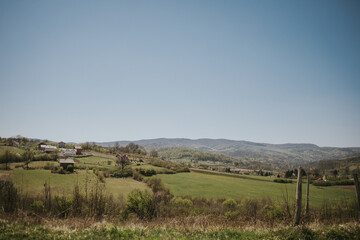 Poster - Scenic view of a grassy field with bare trees and village houses in the countryside