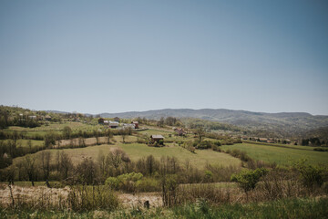 Poster - Scenic view of a grassy field with bare trees and village houses in the countryside