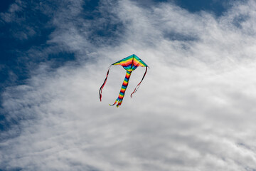 Wall Mural - colorful kites flying over the sky