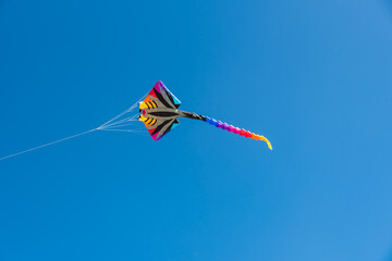 Wall Mural - colorful kites flying over the sky