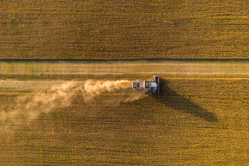 Poster - Combine harvester on the field at sunset. Aerial view
