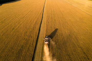 Poster - Combine harvester on the field at sunset. Aerial view