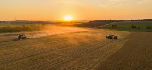 Poster - Combine harvesters on the field at sunset. Aerial view