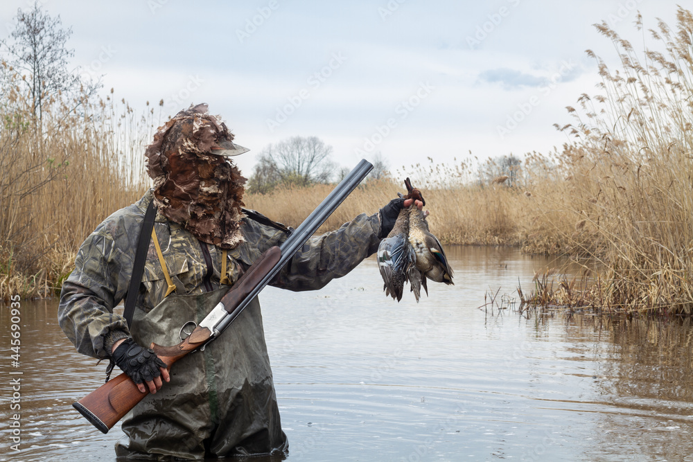 a hunter stands in a lake with two dead ducks in his hand - obrazy, fototapety, plakaty 