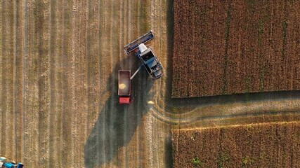 Poster - Combine harvester on the field at sunset. Aerial view