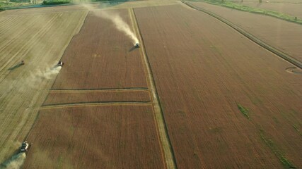 Poster - Combine harvester on the field at sunset. Aerial view