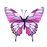 Fototapeta Motyle - Colorful butterfly on a white background, art. Vector on a white background