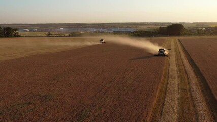 Poster - Combine harvester on the field at sunset. Aerial view