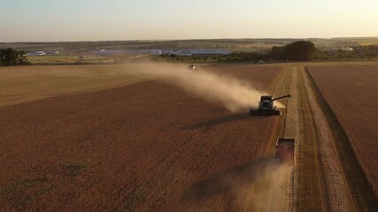 Poster - Combine harvester on the field at sunset. Aerial view