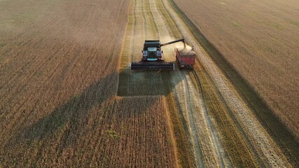 Poster - Combine harvester on the field at sunset. Aerial view