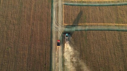 Poster - Combine harvester on the field at sunset. Aerial view