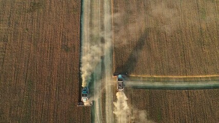 Poster - Combine harvester on the field at sunset. Aerial view