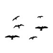 Silhouette of birds. Vector flock of birds in the sky. isolated background.