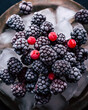 Frozen blackberries on a plate with ice