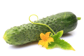 Poster - Fresh cucumbers on a white background