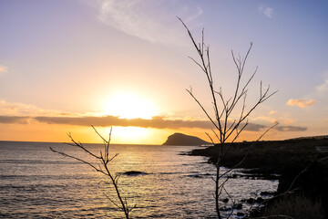 Wall Mural - Sea Tropical Sunset