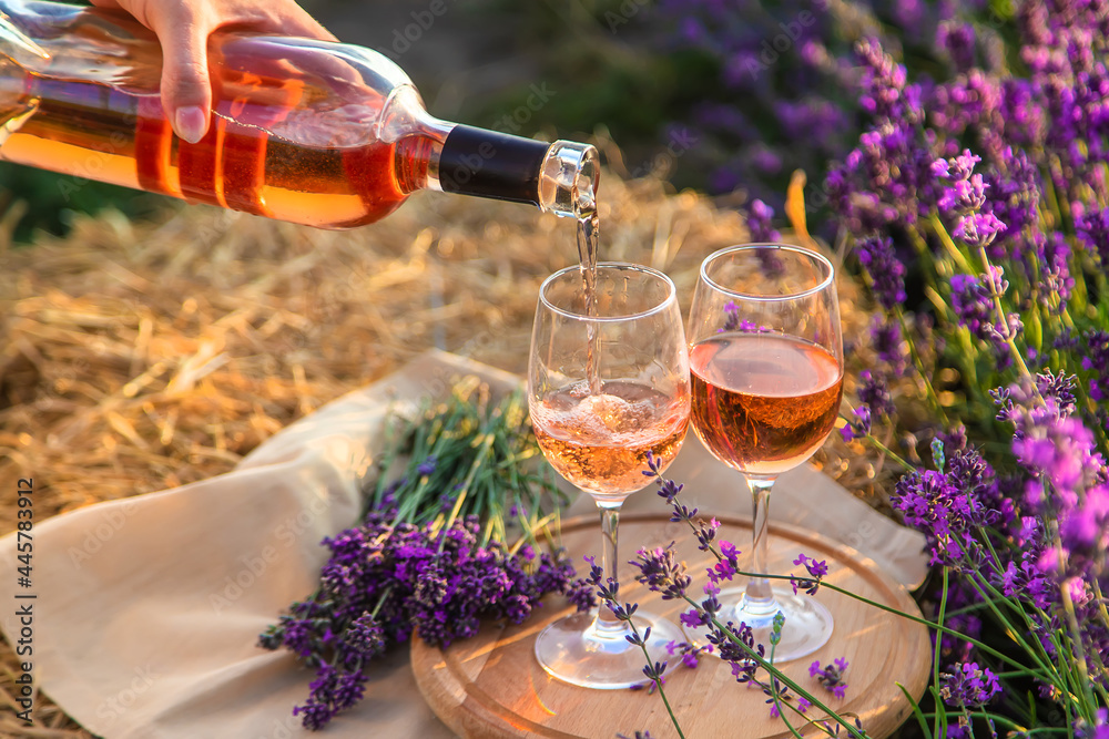 A woman holds wine in glasses. Picnic in the lavender field. Selective focus. - obrazy, fototapety, plakaty 