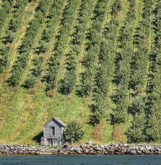 Sticker - Hardangerfjord cottage