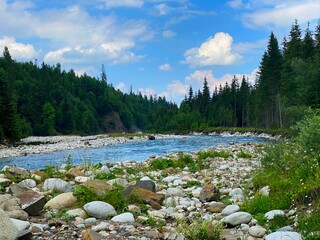 Wall Mural - River in the mountains, Białka river, Polish Tatras