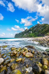 Wall Mural - Caribbean Martinique wild seaside