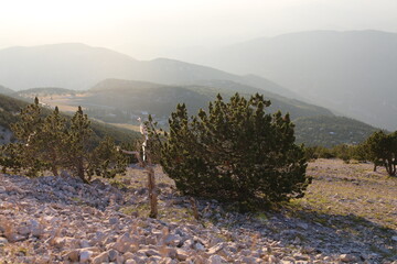 Poster - MONT VENTOUX