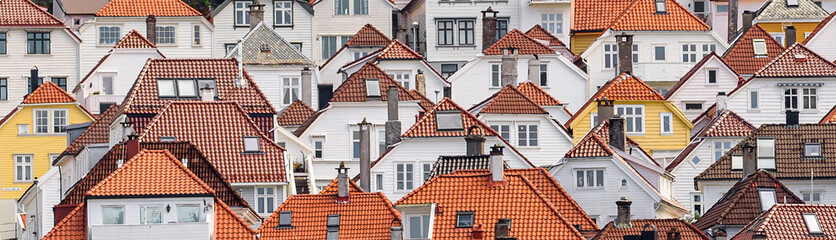 Canvas Print - Bergen housing