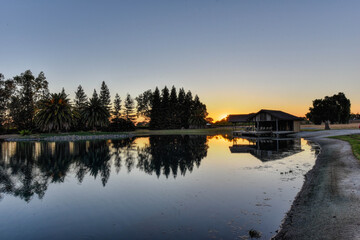 Poster - reflection of trees in the lake